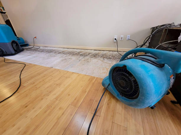 Professional Basement Flood Cleanup technician working in Bitely, MI